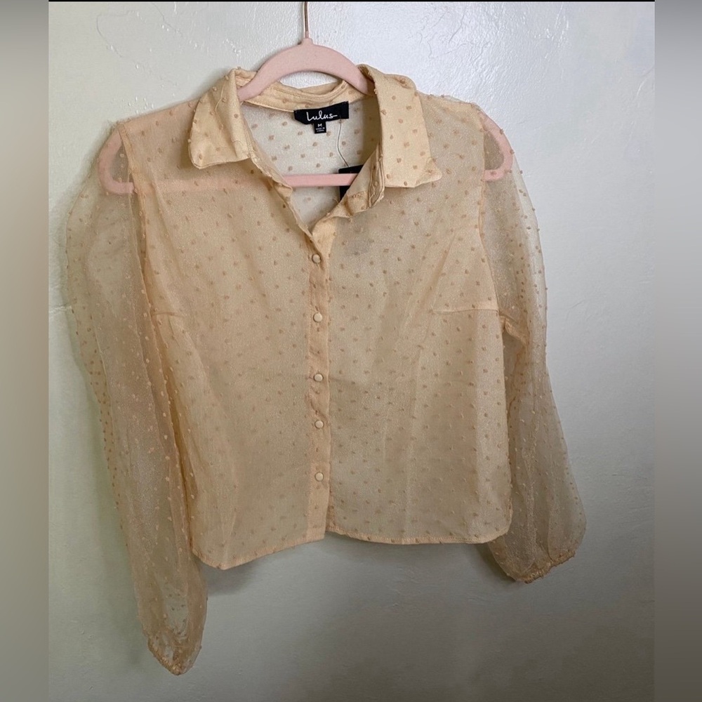 Lulu's Sheer Top